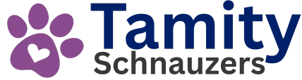 Tamity Schnauzers
